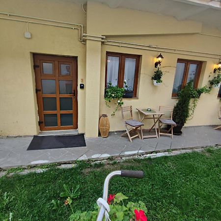 Central Garden Apartments Brassó Kültér fotó