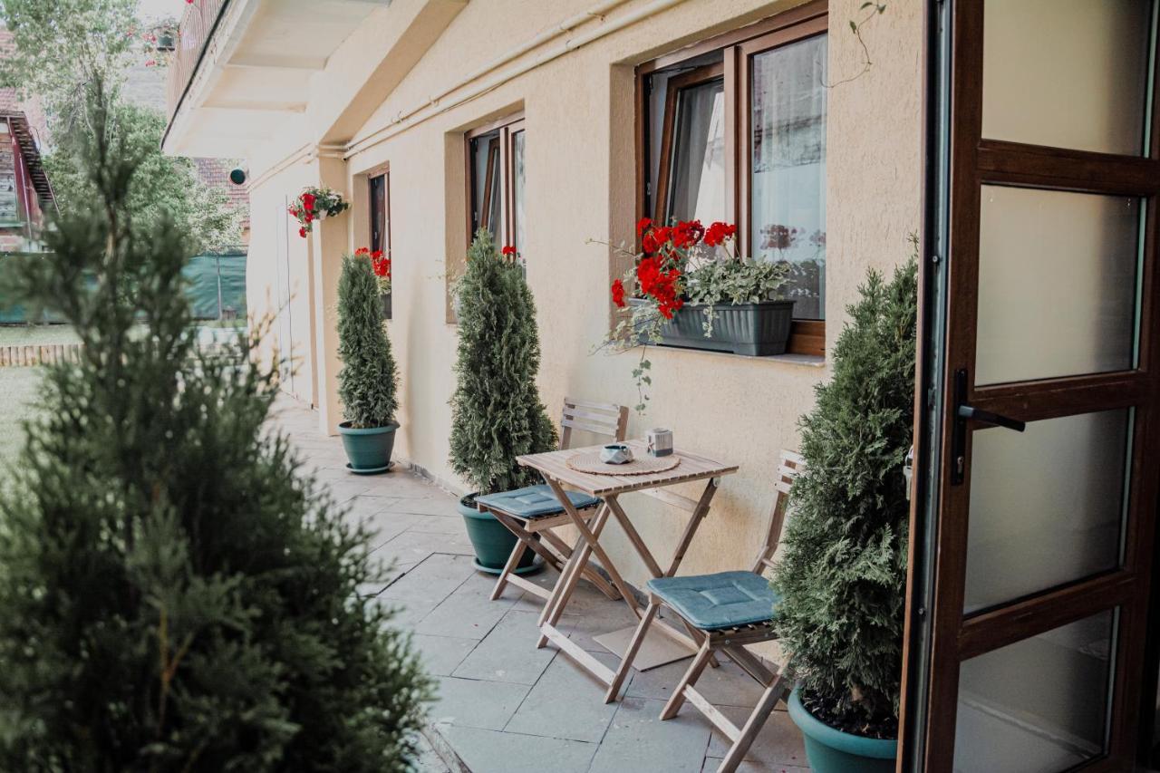 Central Garden Apartments Brassó Kültér fotó